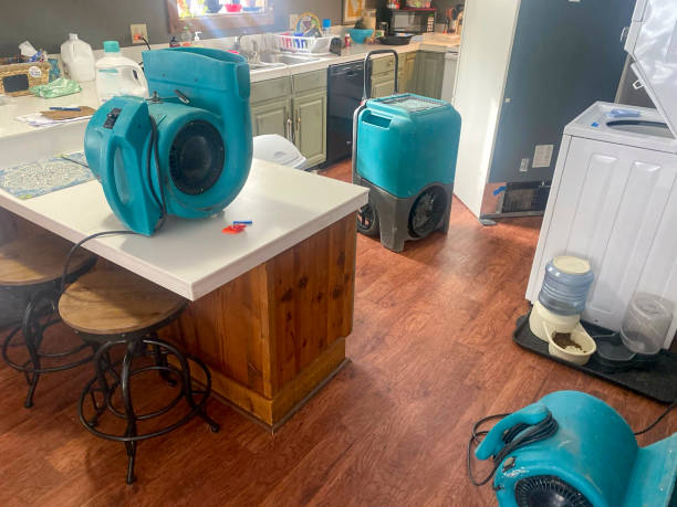 Best Local water damage restoration  in Smithville, OH