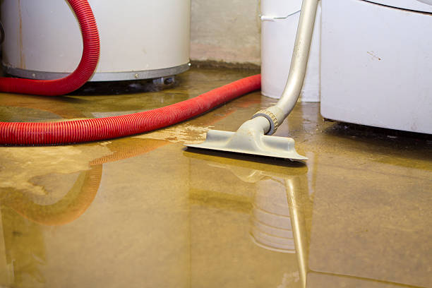 Best Water damage contractors near me  in Smithville, OH